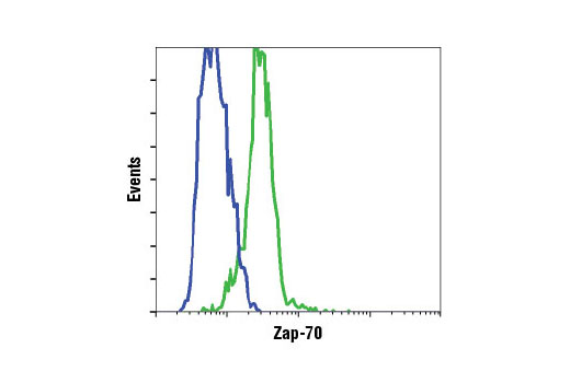 Flow Cytometry Image 1: Zap-70 (D1C10E) XP® Rabbit mAb (Alexa Fluor® 488 Conjugate)