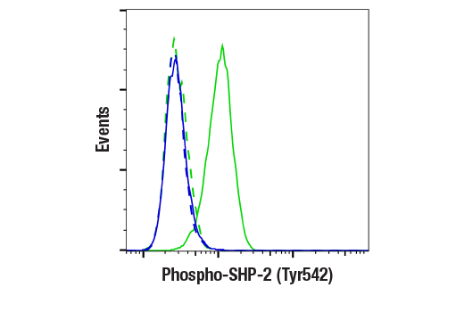 Flow Cytometry Image 1: Phospho-SHP-2 (Tyr542) (E8D6V) Rabbit mAb (BSA and Azide Free)