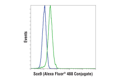 Flow Cytometry Image 1: Sox9 (D8G8H) Rabbit mAb (Alexa Fluor® 488 Conjugate)