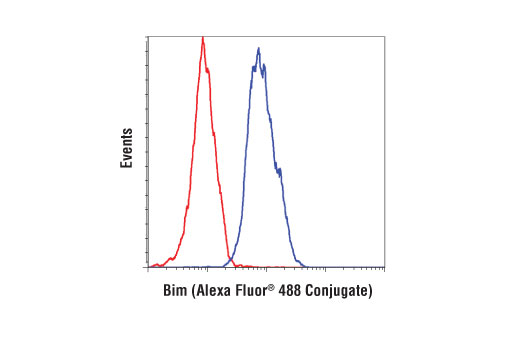 Flow Cytometry Image 1: Bim (C34C5) Rabbit mAb (Alexa Fluor® 488 Conjugate)