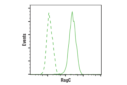 Flow Cytometry Image 1: RagC (D8H5) Rabbit mAb