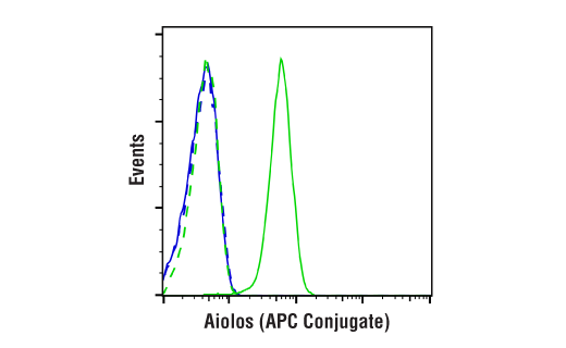 Flow Cytometry Image 1: Aiolos (D1C1E) Rabbit mAb (APC Conjugate)