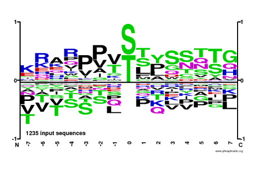  Image 1: PTMScan® O-GlcNAc [GlcNAc-S/T] Motif Kit