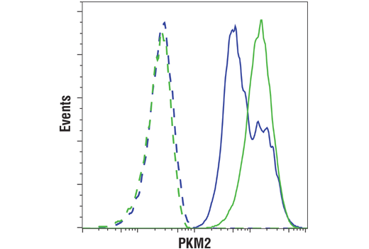 Flow Cytometry Image 1: PKM2 (D78A4) XP® Rabbit mAb (BSA and Azide Free)