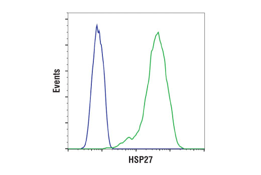 Flow Cytometry Image 1: HSP27 (D6W5V) Rabbit mAb