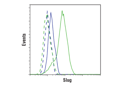 Flow Cytometry Image 1: Slug (C19G7) Rabbit mAb