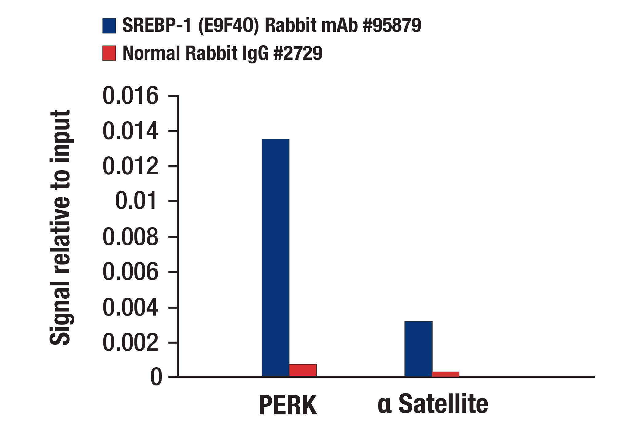 Chromatin Immunoprecipitation Image 1: SREBP-1 (E9F4O) Rabbit mAb