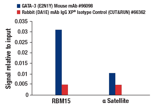 CUT and RUN Image 3: GATA-3 (E2N1Y) Mouse mAb