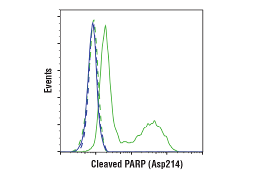 Flow Cytometry Image 1: Cleaved PARP (Asp214) (D6X6X) Rabbit mAb (BSA and Azide Free)