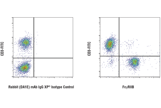 Flow Cytometry Image 2: FcγRIIB (D8F9C) XP® Rabbit mAb (Mouse Specific)