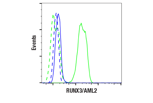 Flow Cytometry Image 1: RUNX3/AML2 (D6E2) Rabbit mAb