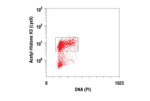 Flow Cytometry Image 1: Acetyl-Histone H3 (Lys9) (C5B11) Rabbit mAb
