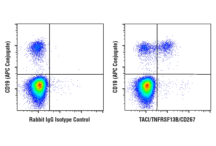Flow Cytometry Image 1: TACI/TNFRSF13B/CD267 (E1D1P) Rabbit mAb