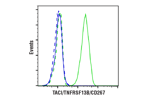 Flow Cytometry Image 2: TACI/TNFRSF13B/CD267 (E1D1P) Rabbit mAb