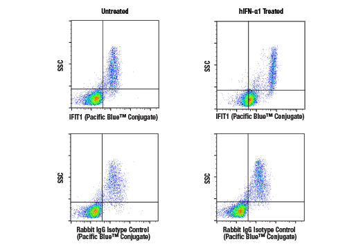 Flow Cytometry Image 1: IFIT1 (D2X9Z) Rabbit mAb (Pacific Blue™ Conjugate)