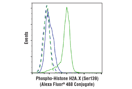 Flow Cytometry Image 1: Phospho-Histone H2A.X (Ser139) (20E3) Rabbit mAb (Alexa Fluor® 488 Conjugate)