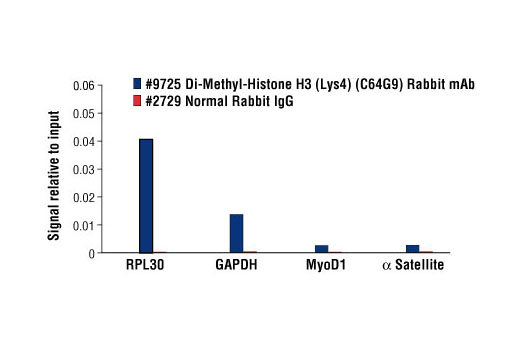  Image 28: Methyl-Histone H3 (Lys4) Antibody Sampler Kit