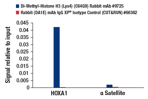  Image 22: Methyl-Histone H3 (Lys4) Antibody Sampler Kit