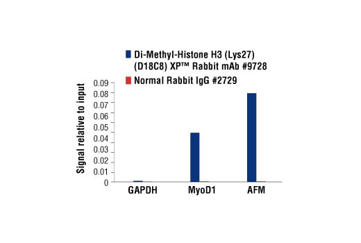 Chromatin Immunoprecipitation Image 1: Di-Methyl-Histone H3 (Lys27) (D18C8) XP® Rabbit mAb
