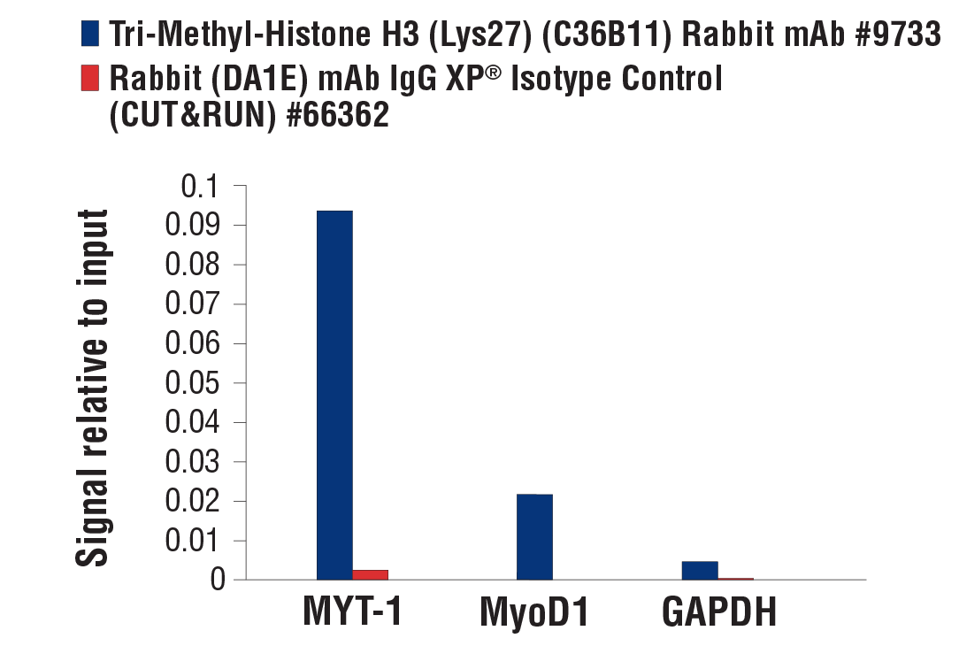 CUT and RUN Image 3: Tri-Methyl-Histone H3 (Lys27) (C36B11) Rabbit mAb