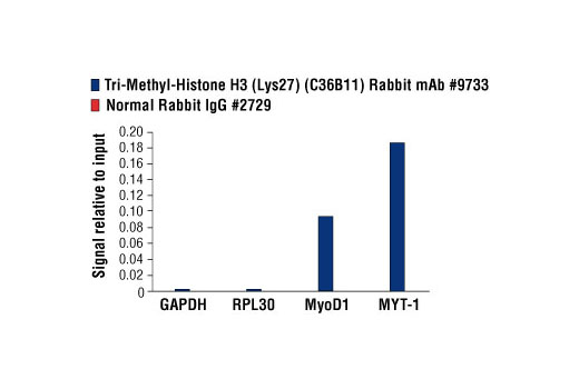Chromatin Immunoprecipitation Image 3: Tri-Methyl-Histone H3 (Lys27) (C36B11) Rabbit mAb