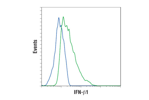 Flow Cytometry Image 1: IFN-β1 (D2J1D) Rabbit mAb (Mouse Specific)