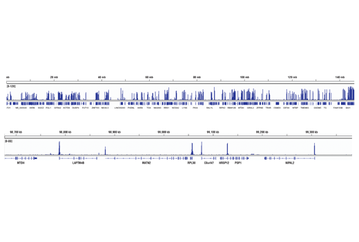 Chromatin Immunoprecipitation Image 2: Tri-Methyl-Histone H3 (Lys4) (C42D8) Rabbit mAb