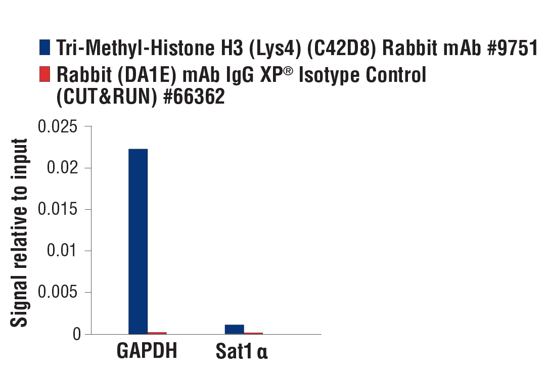 CUT and RUN Image 3: Tri-Methyl-Histone H3 (Lys4) (C42D8) Rabbit mAb