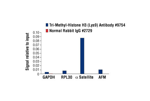 Chromatin Immunoprecipitation Image 1: Tri-Methyl-Histone H3 (Lys9) Antibody