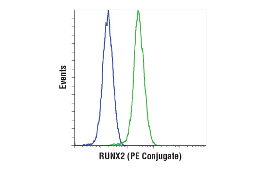 Flow Cytometry Image 1: RUNX2 (D1L7F) Rabbit mAb (PE Conjugate)
