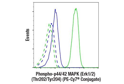 Flow Cytometry Image 1: Phospho-p44/42 MAPK (Erk1/2) (Thr202/Tyr204) (197G2) Rabbit mAb (PE-Cy7® Conjugate)