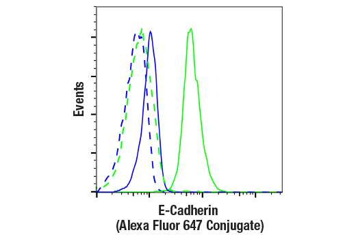 Flow Cytometry Image 1: E-Cadherin (24E10) Rabbit mAb (Alexa Fluor® 647 Conjugate)