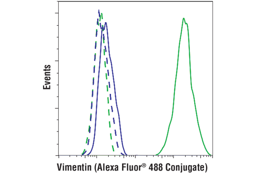 Flow Cytometry Image 1: Vimentin (D21H3) XP® Rabbit mAb (Alexa Fluor® 488 Conjugate)
