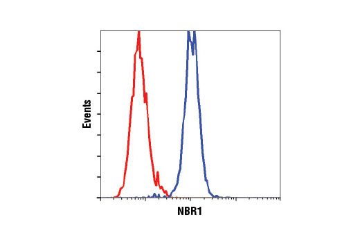 Flow Cytometry Image 1: NBR1 (D2E6) Rabbit mAb
