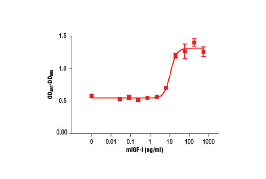  Image 2: Mouse Insulin-like Growth Factor I (mIGF-I)