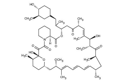  Image 2: Rapamycin