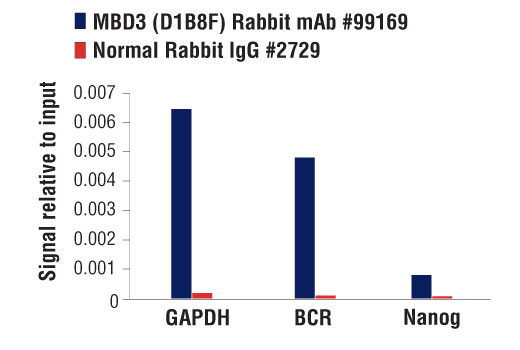 Chromatin Immunoprecipitation Image 3: MBD3 (D1B8F) Rabbit mAb