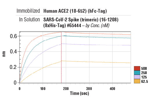 Image 4: Human ACE2 (18-652) Recombinant Protein (hFc-Tag)