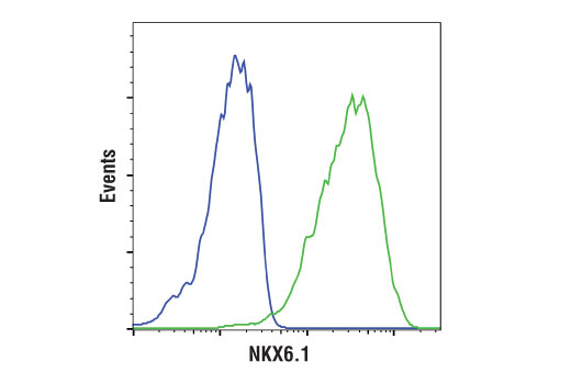 Flow Cytometry Image 1: NKX6.1 (D8O4R) Rabbit mAb (BSA and Azide Free)
