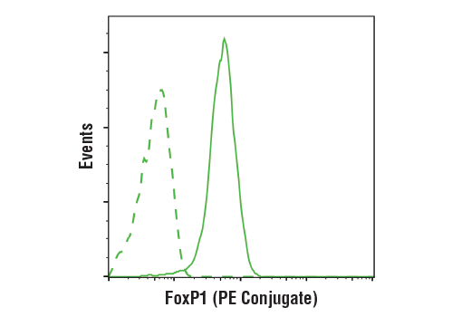 Flow Cytometry Image 1: FoxP1 (D35D10) XP® Rabbit mAb (PE Conjugate)