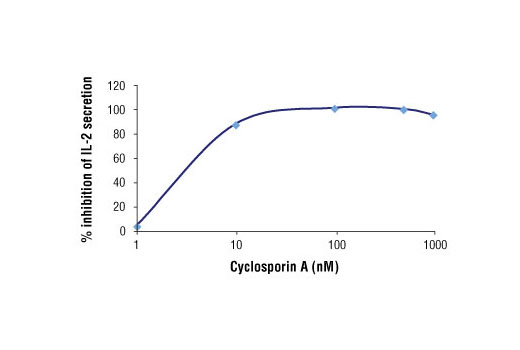  Image 1: Cyclosporin A