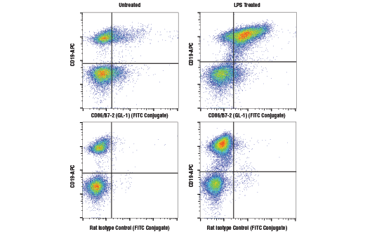 Flow Cytometry Image 2: CD86/B7-2 (GL-1) Rat mAb (FITC Conjugate)