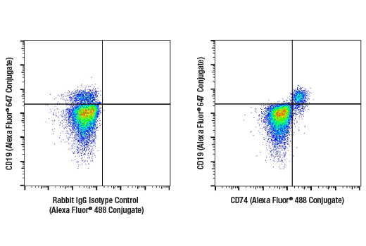 Flow Cytometry Image 1: CD74 (D5N3I) XP® Rabbit mAb (Alexa Fluor® 488 Conjugate)
