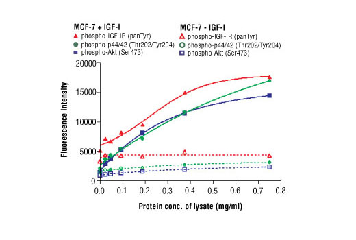 Pathscan Rtk Signaling Antibody Array Kit Fluorescent Readout Cell Signaling Technology