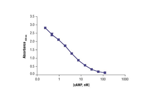 cyclic amp assay