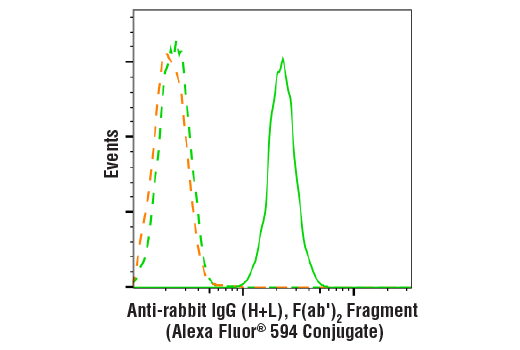 Anti Rabbit Igg H L F Ab 2 Fragment Alexa Fluor 594 Conjugate Cell Signaling Technology