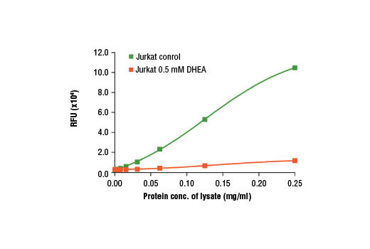 Glucose 6 Phosphate Dehydrogenase G6pd Activity Assay Kit Cell Signaling Technology 2295