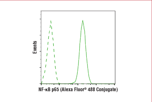 Nf Kb P65 D14e12 Xp Rabbit Mab Alexa Fluor 4 Conjugate Cell Signaling Technology