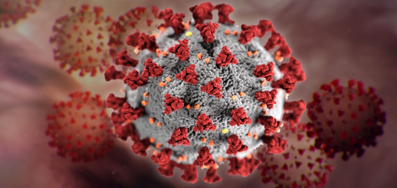SARS-CoV-2/Covid-19 Virus