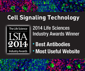 2014 LSIA Awards for CST